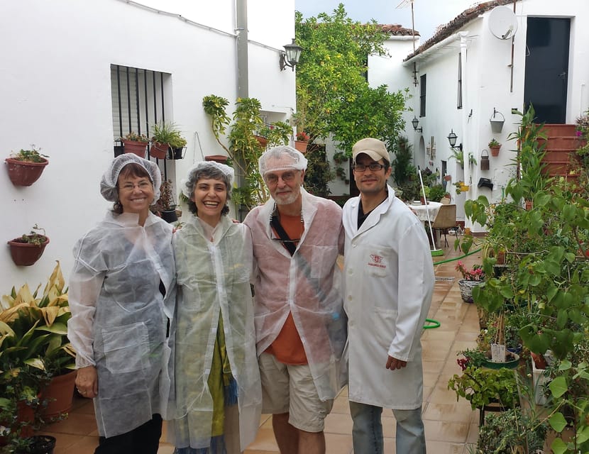 From Seville: Iberian Ham Full-Day Tour to Aracena - Price and Value: What You’re Really Paying for at $364