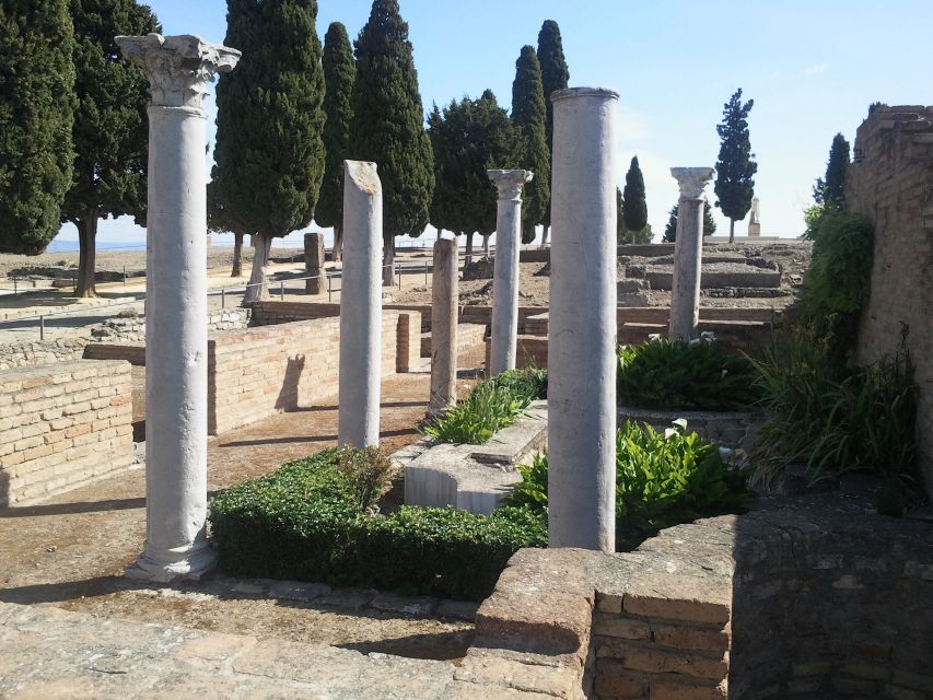 From Seville: Italica Roman City Tour - Key highlights worth planning around