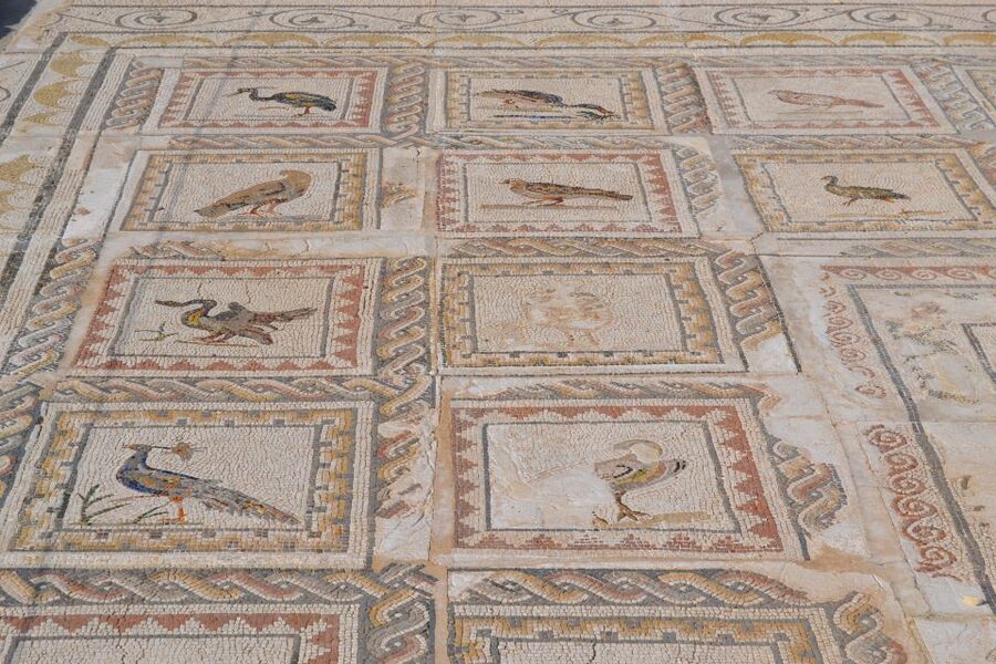 From Seville: Italica Roman City Tour - Public baths, statues, and emperors you can actually place