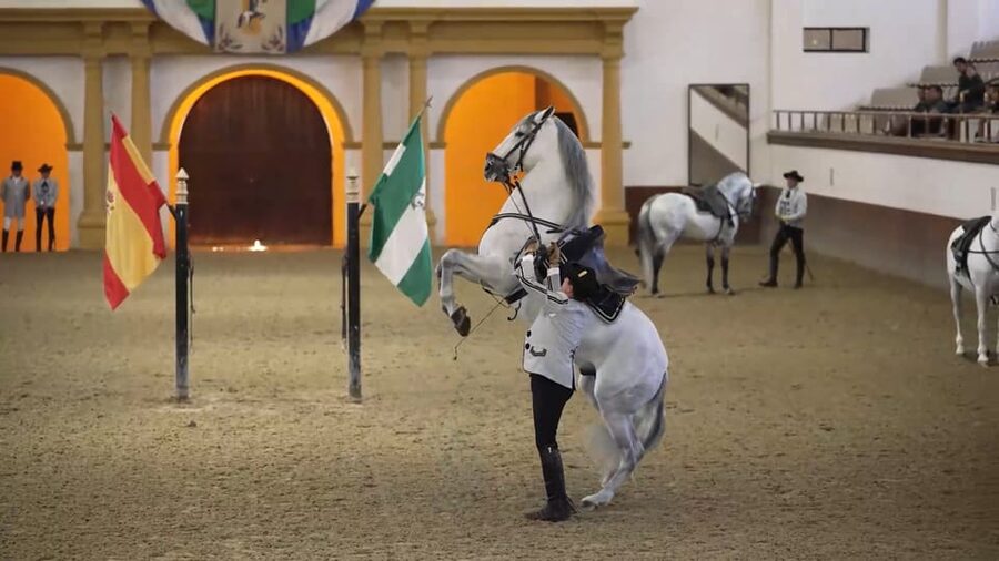 From Seville: Jerez, Cádiz and Andalusian Horses - Seville to Jerez and Cádiz: the pace of a 10-hour day trip