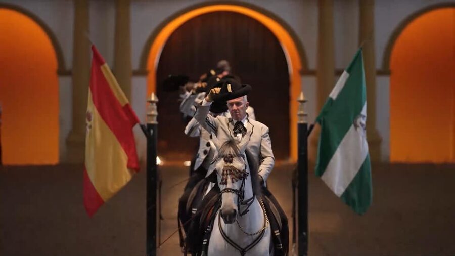From Seville: Jerez, Cádiz and Andalusian Horses - Who this trip suits (and who should pass)