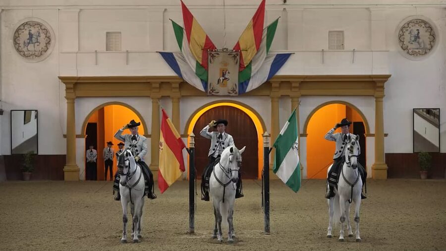 From Seville: Jerez, Cádiz and Andalusian Horses - Before you go: what to bring and how to prepare your day