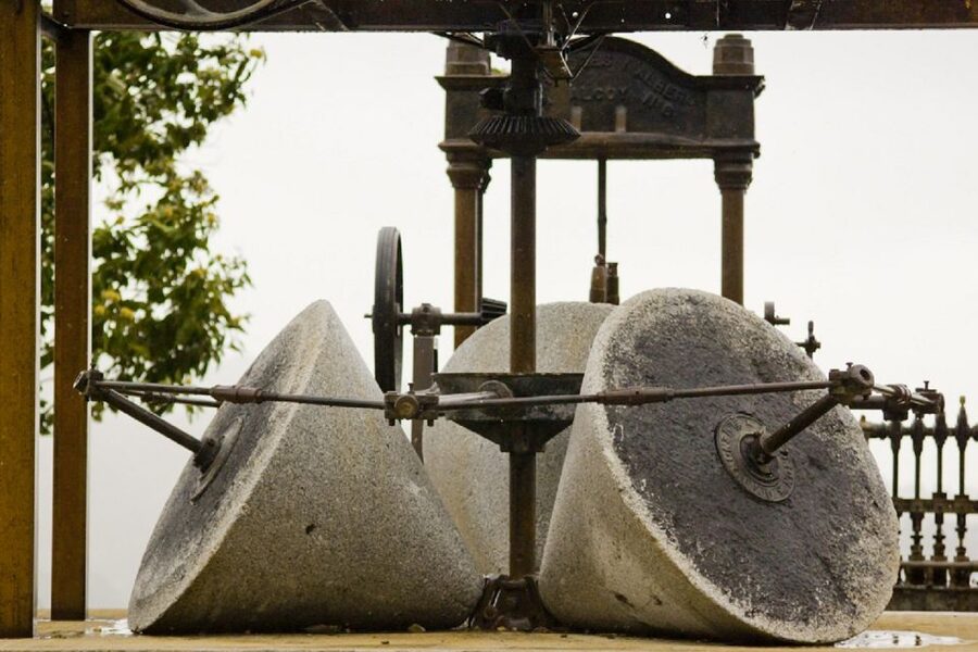 From Seville: Olive Oil Farm Tour - Why an olive farm near Seville is more than a food stop
