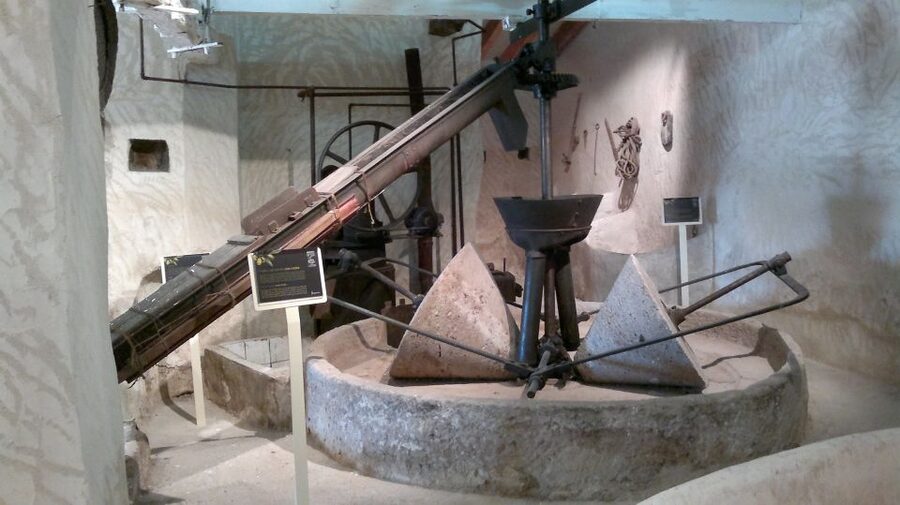 From Seville: Olive Oil Farm Tour - Getting out of Seville: the countryside drive and what it means for your time