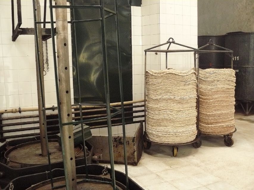 From Seville: Olive Oil Farm Tour - Who should book this tour (and who should think twice)