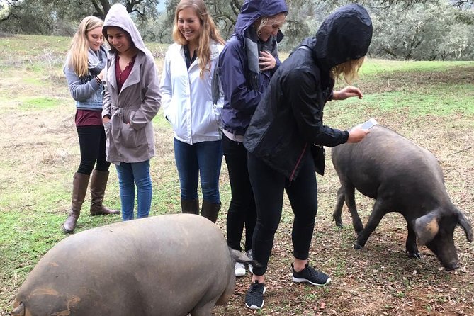 From Seville: Pig Farm private day tour and old villages visit - From Seville to the Huelva hills: your private day starts right