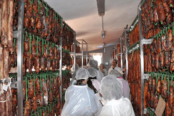 From Seville: Pig Farm private day tour and old villages visit - Small tips to make your day smoother