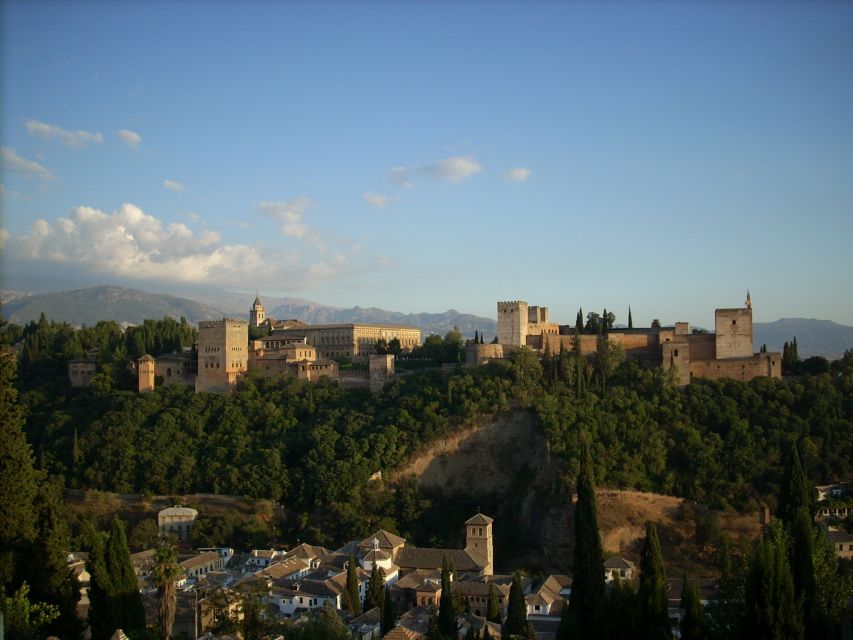 From Seville: Private Granada Day-Trip with Alhambra Visit - Key highlights that make this day trip worth it