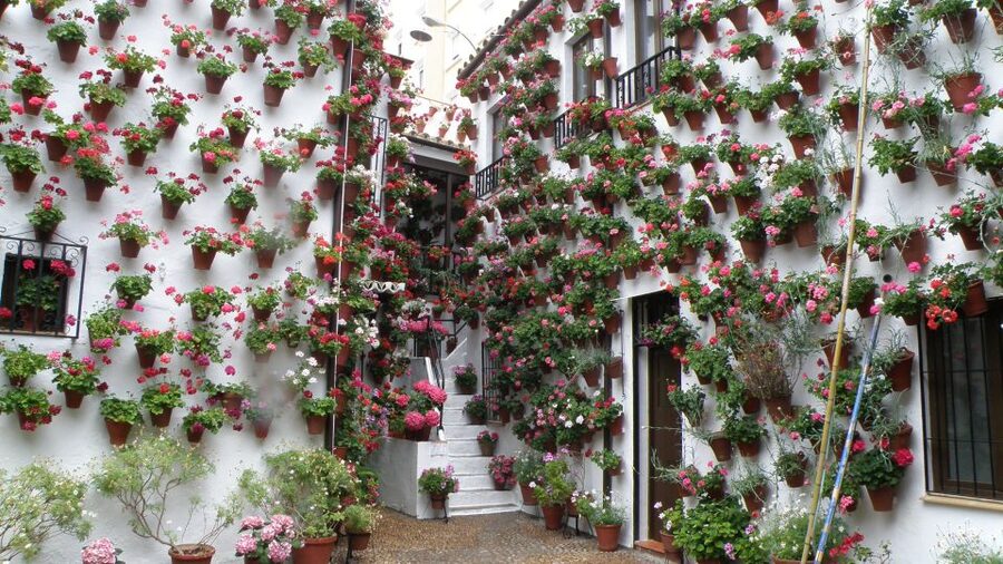 From Seville: Private or Group Full-Day Cordoba Tour - Meet in Seville, then settle into the ride
