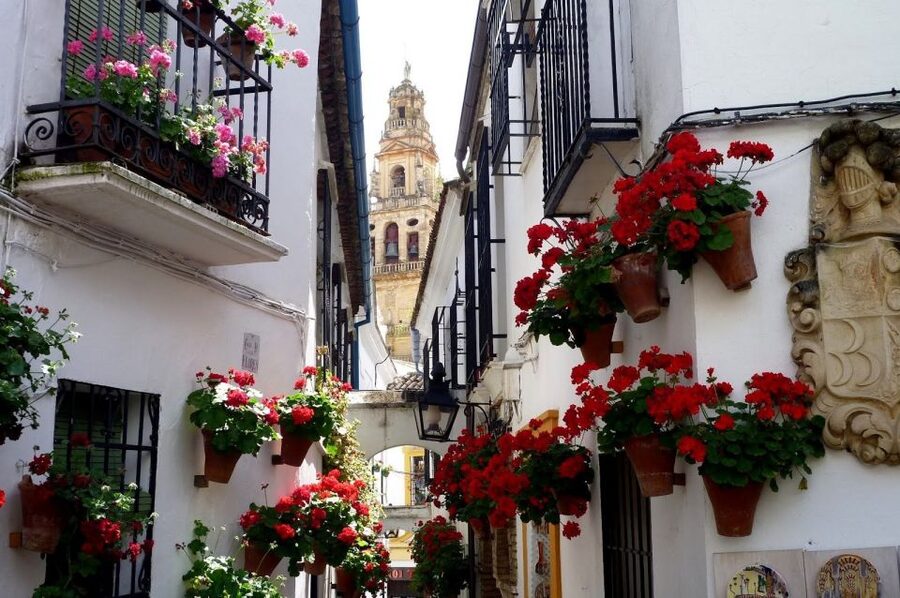 From Seville: Private Transfer to Granada and Córdoba Tour - Key things to look forward to
