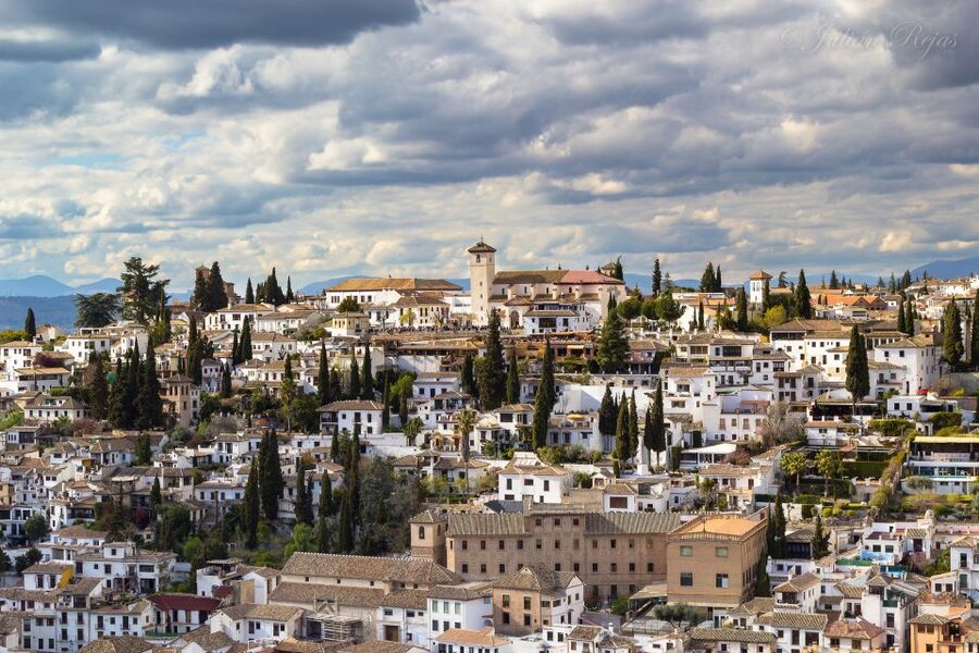 From Seville: Private Transfer to Granada and Córdoba Tour - Mezquita-Catedral: the arches that change your sense of scale