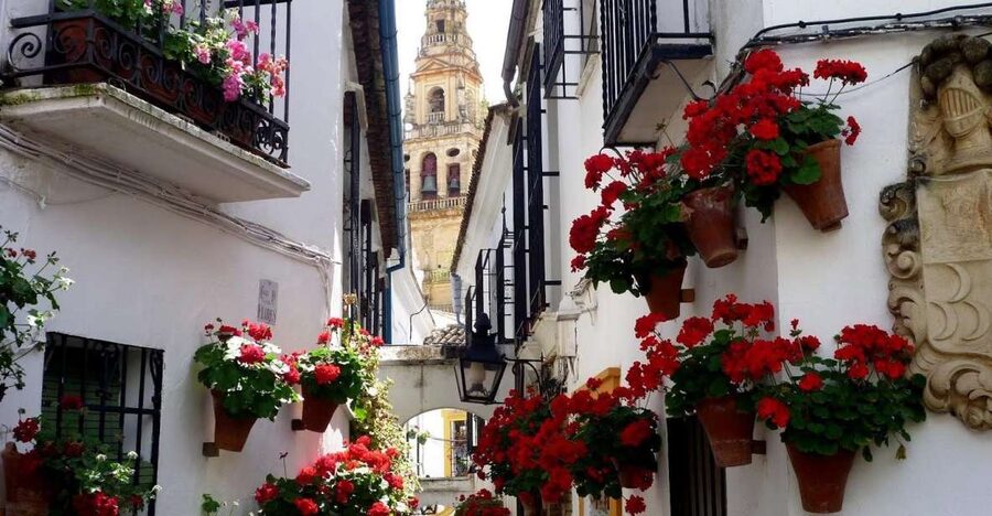 From Seville: Private Transfer to Granada and Córdoba Tour - Roman Bridge and the Guadalquivir water-mill views