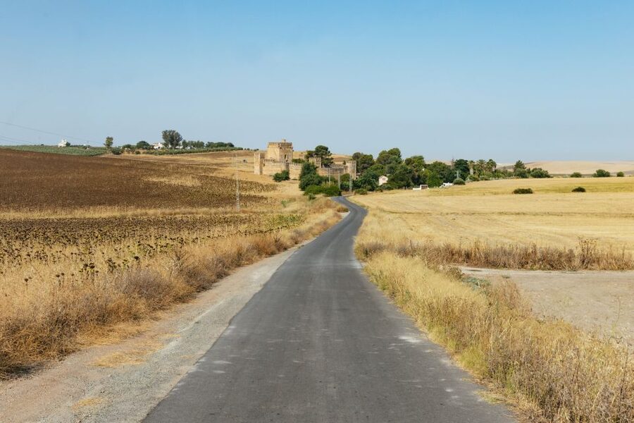 From Seville: Pueblos Blancos and Ronda Full-Day Trip - Grazalema: Natural Park views, vultures overhead, and a real lunch break