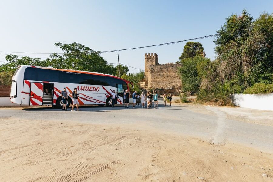 From Seville: Pueblos Blancos and Ronda Full-Day Trip - The drive to Ronda: honey, honeycombs, and narrow-road nerves