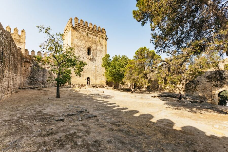 From Seville: Pueblos Blancos and Ronda Full-Day Trip - Ronda: the New Bridge, two cliffs, and guided context plus free time