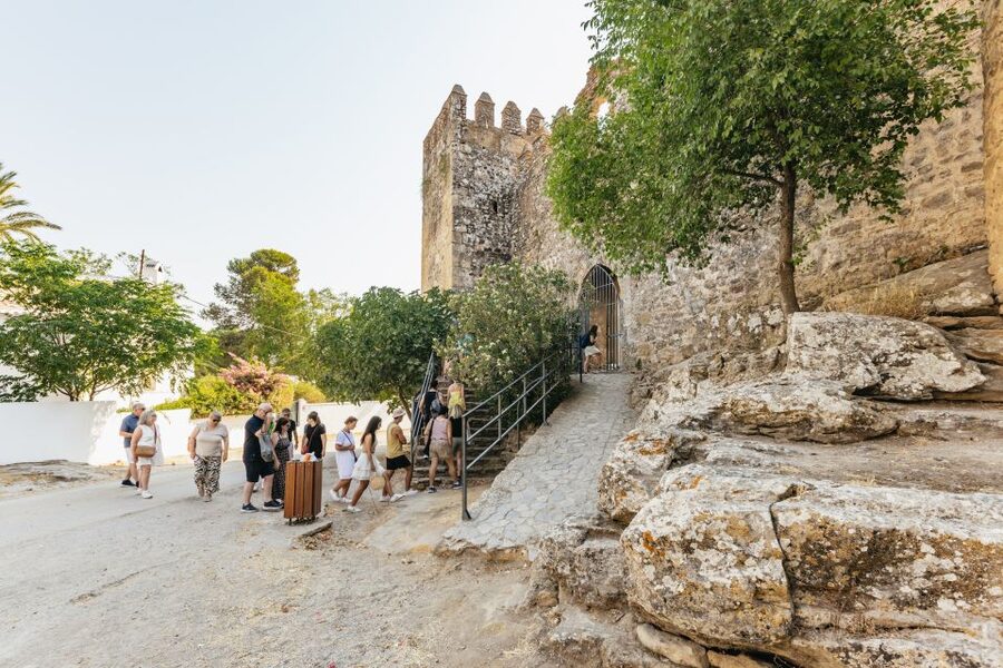 From Seville: Pueblos Blancos and Ronda Full-Day Trip - Price and value: $52 for a 10-hour route you don’t have to drive