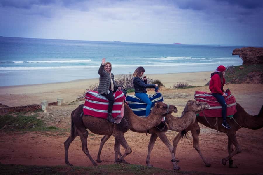 From Seville: Tangier Day Trip with Local Guide and Lunch - Price and value: does $258 make sense for 15 hours?