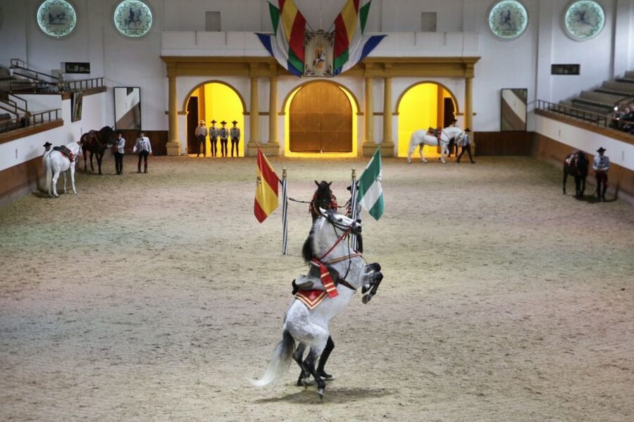 From Seville: Tour of Jerez with Horse Show & Wine Tasting - Key highlights worth your attention