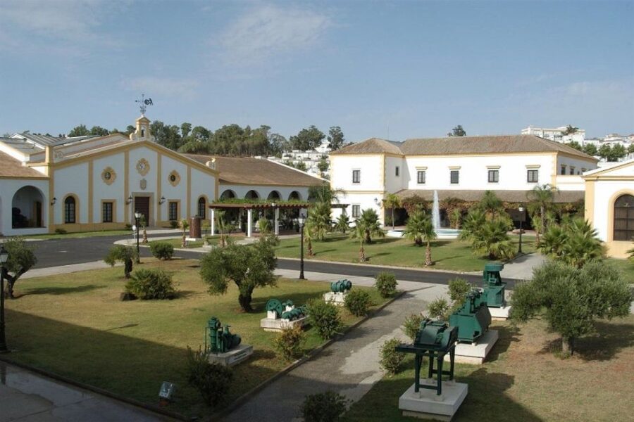 From Seville: Tour of Jerez with Horse Show & Wine Tasting - A Seville–Jerez day built around sherry and horsemanship