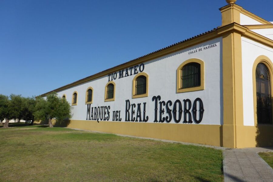 From Seville: Tour of Jerez with Horse Show & Wine Tasting - The tasting: getting the most from your wine samples