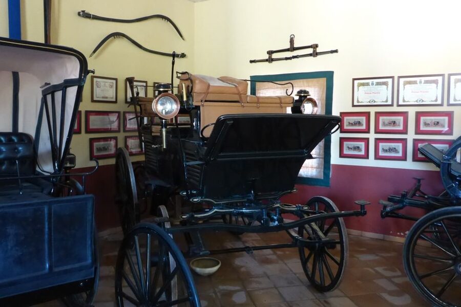 From Seville: Tour of Jerez with Horse Show & Wine Tasting - Timing, seating, and that post-show pause
