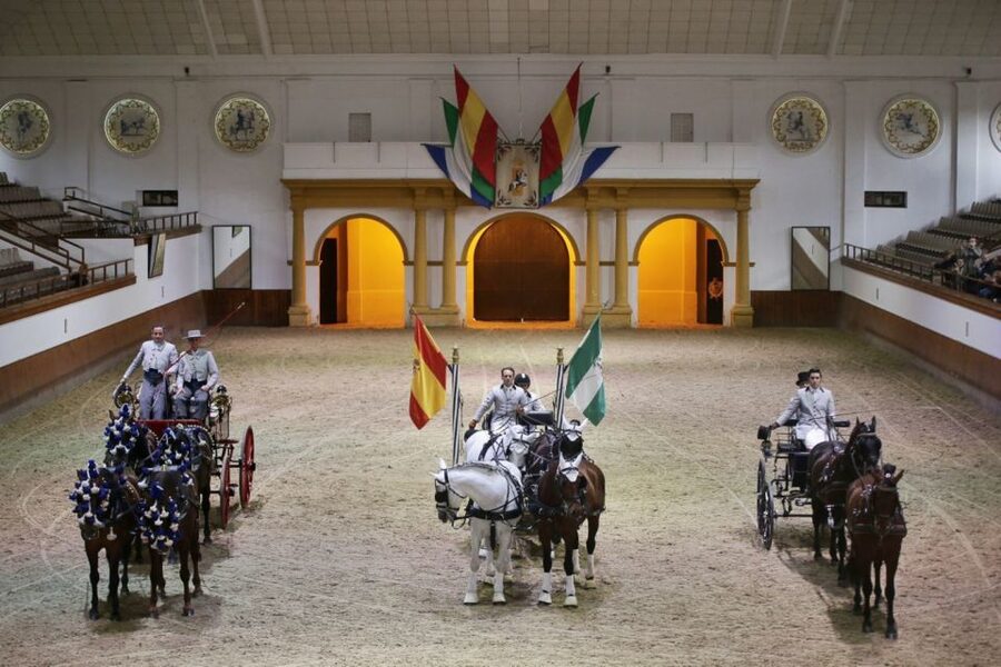 From Seville: Tour of Jerez with Horse Show & Wine Tasting - Price and value for $147: what you’re really buying