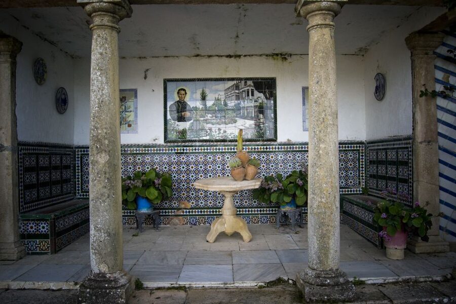 From Seville: White Villages and Ronda Full-Day Trip - How Much Walking Will You Do In Ronda?