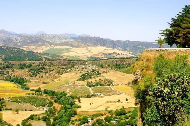 From Seville: White Villages and Ronda private day trip - Price and value: is $351 per person fair?