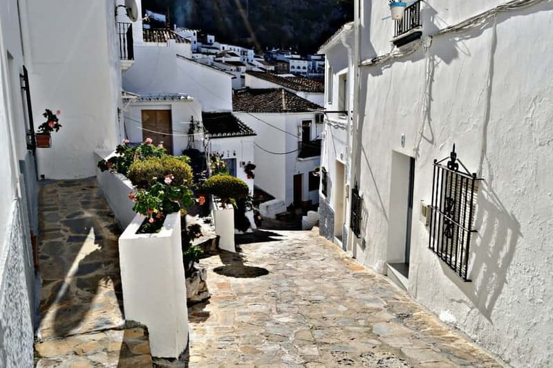 From Seville: White Villages and Ronda private day trip - Why the White Villages feel different from a quick day out