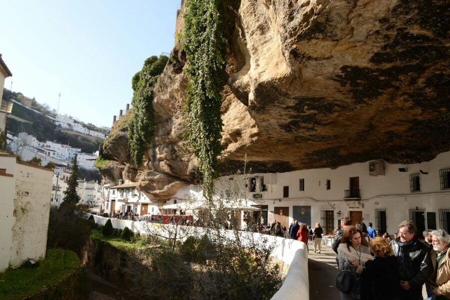 From Seville: White Villages and Ronda private day trip - Extra touches your guide might add (sunflowers, olive oil, cork trees)