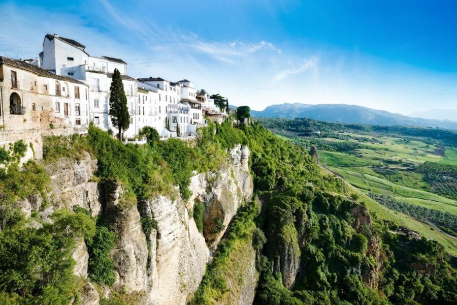 From Seville: White Villages and Ronda Tour - The Olive Oil Factory Stop: A Taste of Andalusia Beyond the Streets