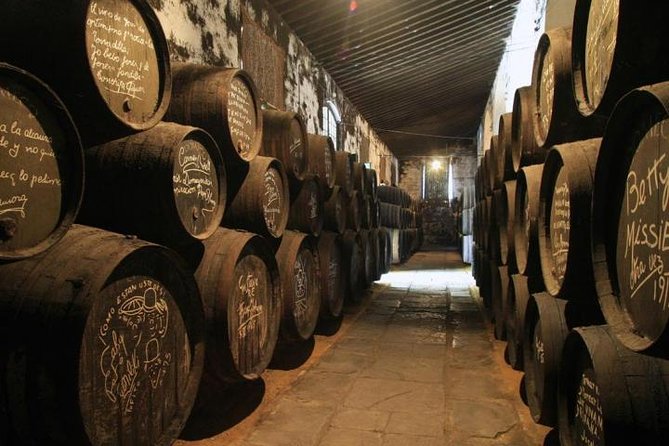 From Seville: Wine Tourism Half Day Tour - Bodegas Salado in Umbrete: What Happens at the Winery
