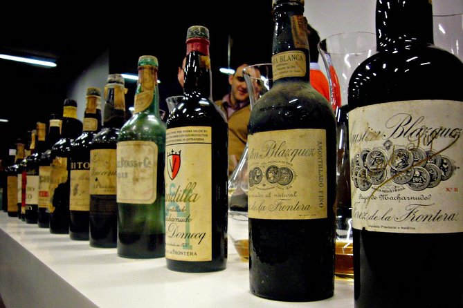From Seville: Wine Tourism Half Day Tour - Time on the Clock: Does 4 Hours Feel Tight or Just Right?