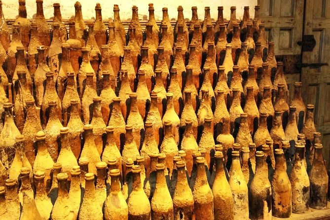 From Seville: Wine Tourism Half Day Tour - Group Size, Language, and How Comfortable the Tour Feels