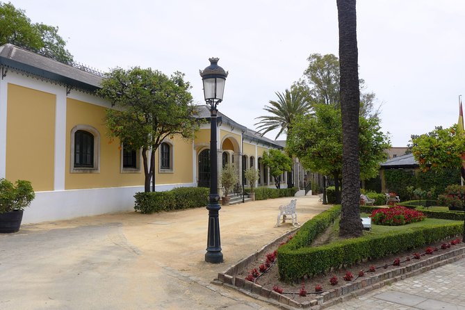 From Seville: Wine Tourism Half Day Tour - Who This Tour Is Best For