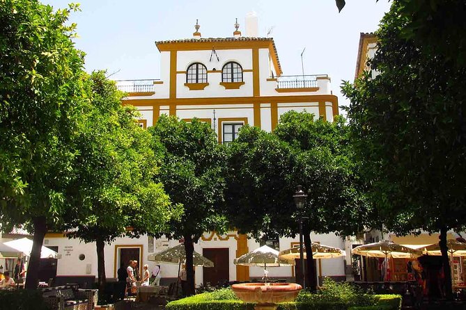 Full Day Seville Tour with tickets (optional Tapas & Flamenco) - Price and logistics: is $454.76 per person good value