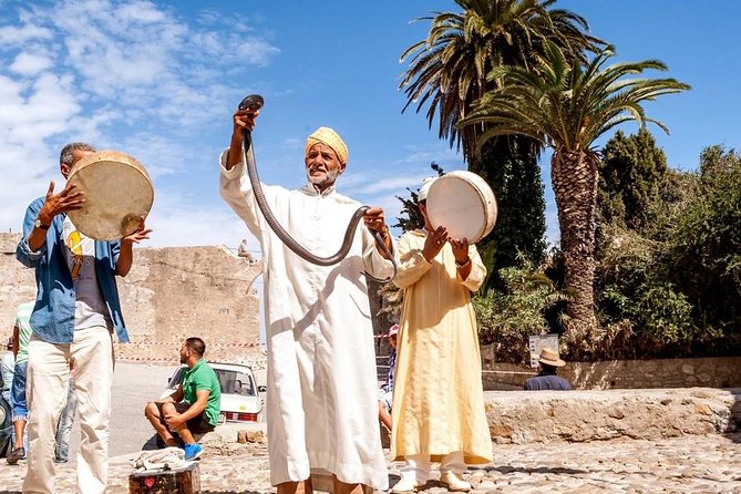 Full-day tour of Tangier in Morocco from Seville - Tangier medina walking tour: where the guide earns their pay