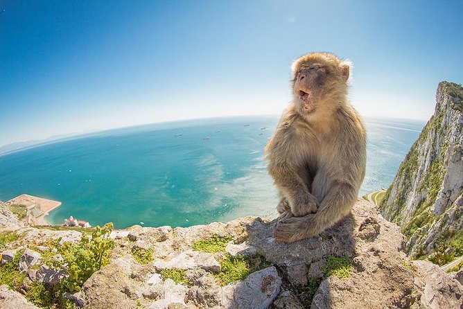 Gibraltar Day Trip from Seville - Key highlights to know before you go
