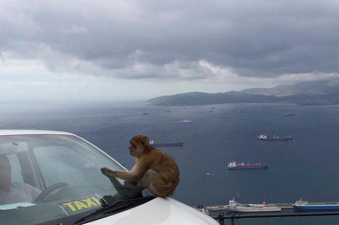 Gibraltar Day Trip from Seville + Rock Tour - Europa Point: the quick viewpoint stop that gives you context fast