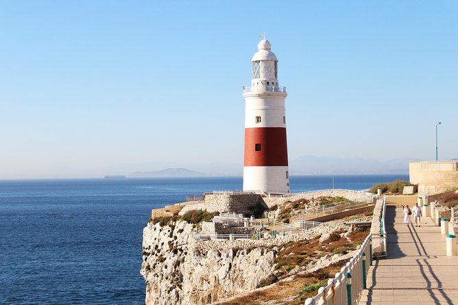 Gibraltar Day Trip from Seville + Rock Tour - Apes on the Rock: seeing them is easy; seeing them a lot takes a plan