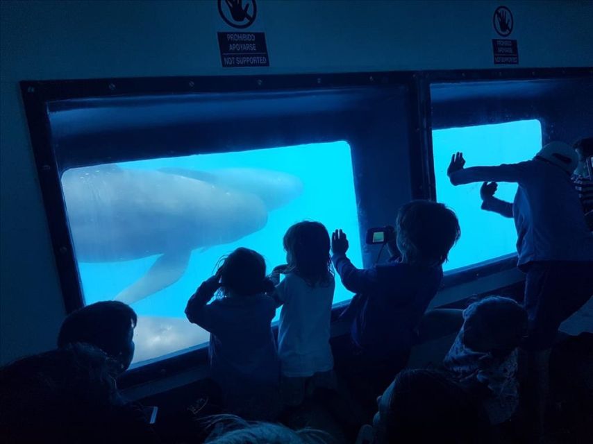 Gibraltar Dolphins Watching Day Trip from Seville - What to Pack (So the Sea Doesn’t Ruin Your Photos)