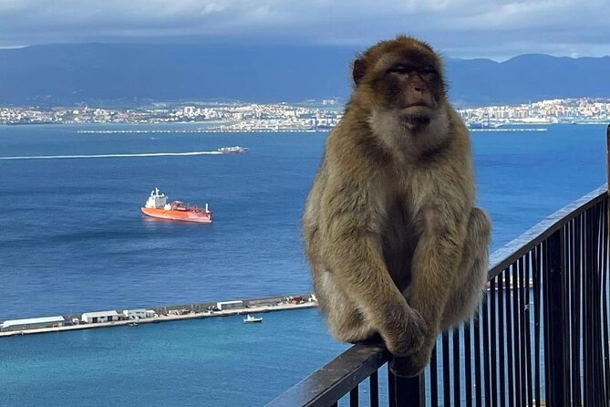Gibraltar Private Daytrip From Sevilla - Private Seville to Gibraltar Day Trip: what you gain