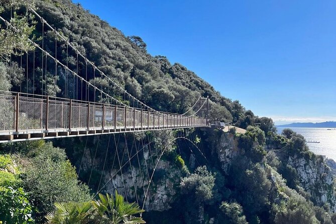 Gibraltar Private Daytrip From Sevilla - Apes Den to Pillars of Hercules: quick hits with included tickets