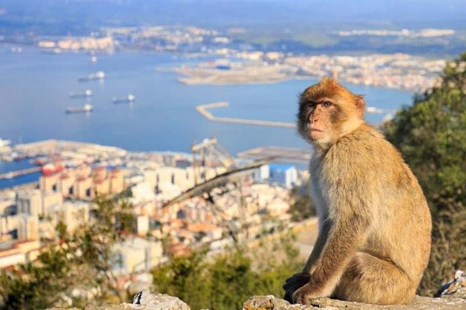 Gibraltar private tour from Seville including the upper rock - The views from the upper Rock: photos that actually make sense