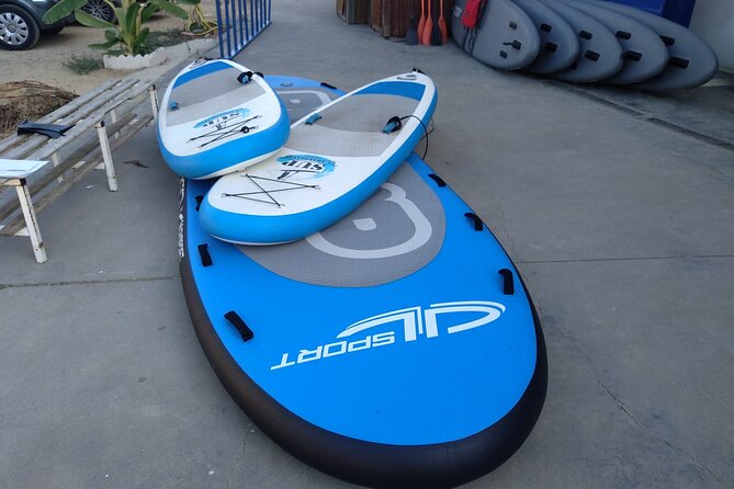 Gigant paddle surf in Seville - Seville Views from the Water: A Different Angle, Not a Theme Park