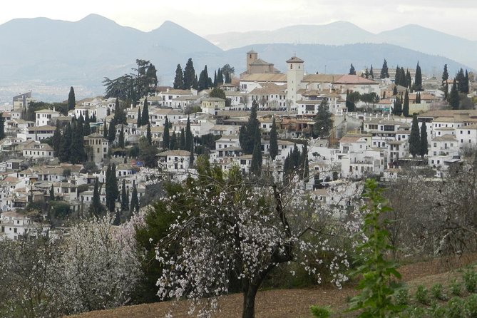Granada Day Trip: Alhambra & Nazaries Palaces from Seville - Why the Nasrid Palaces Feel Like a Crash Course