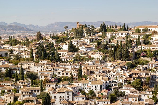 Granada Day Trip from Seville with Skip-the-line Alhambra Access - Getting to Granada: the private vehicle reality