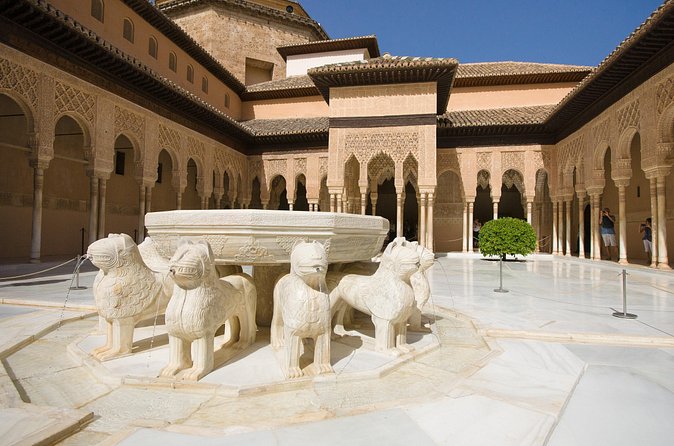 Granada Tour with Alhambra and Generalife Gardens from Seville - Group size and guide language: why it can feel personal or not