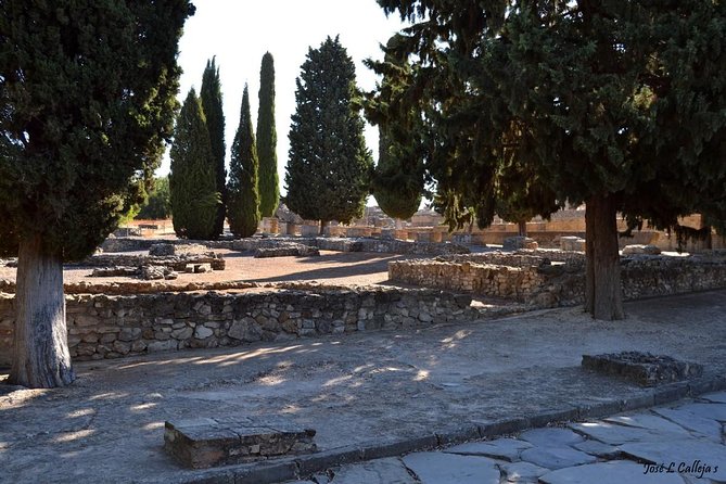 Group Excursion from Seville to Italica (Seville Roman Town) - Price and logistics: what you’re actually paying for
