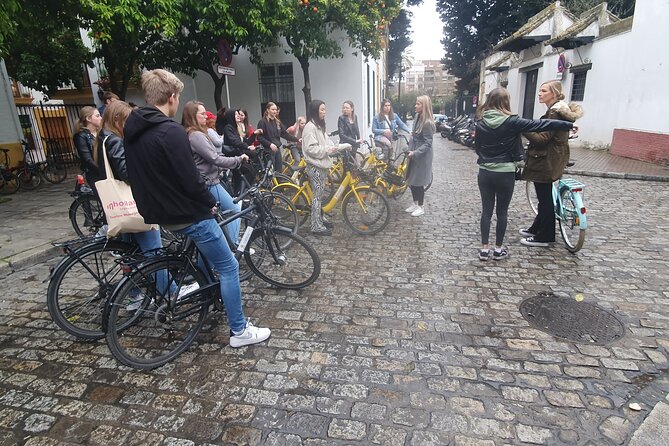 Guided Electric Bicycle Tour of Seville - Stop 3: Plaza de España, where architecture turns into a lesson
